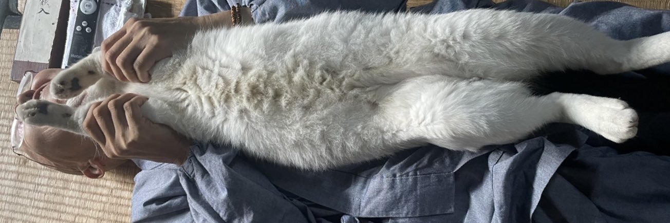 臨済宗妙心寺派　松壽山不徹寺 banner