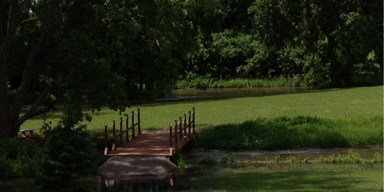 kathy_knutson's profile banner image