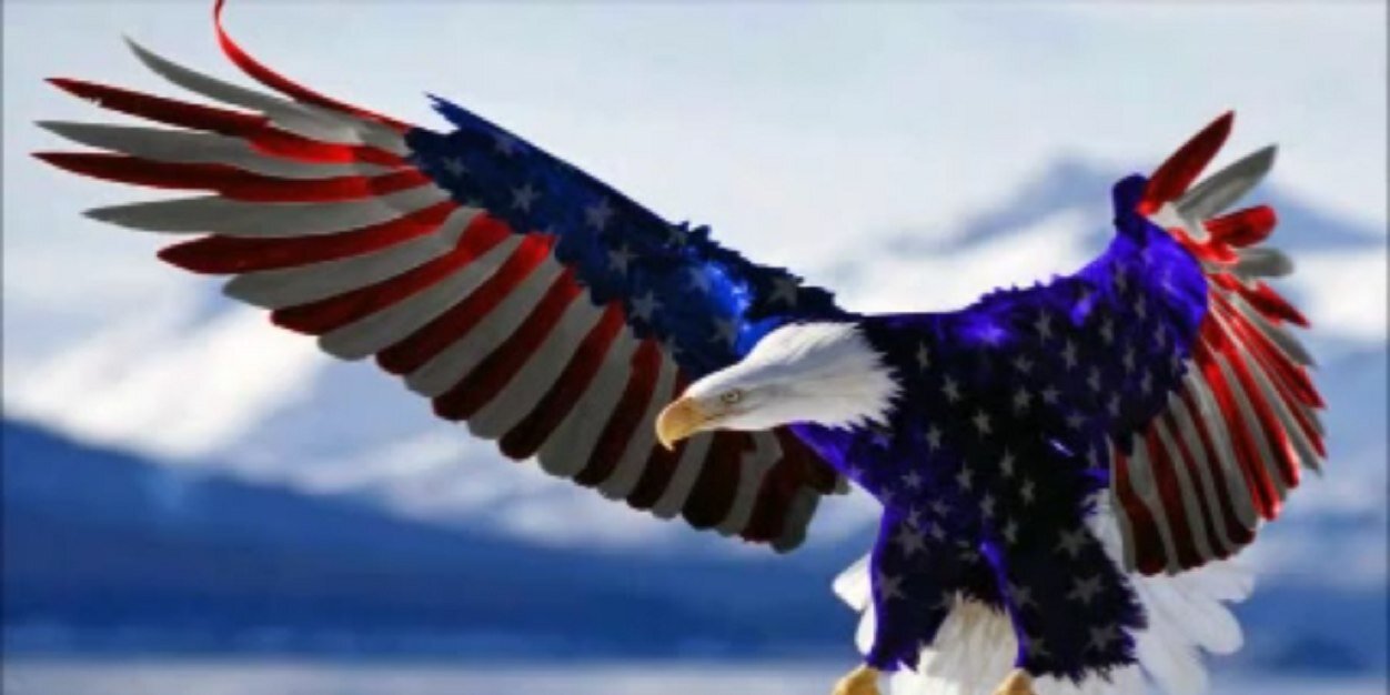 SannyOne9's profile banner image
