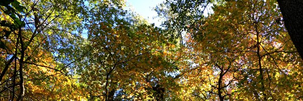 NatureNETzzz Profile Banner