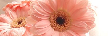 n4tm2's profile banner image