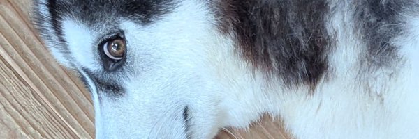 Kugo_eya Profile Banner