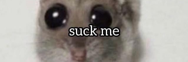 lilbug199's profile banner image
