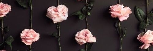 ♊ banner