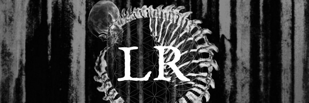 LiberateReality's profile banner image