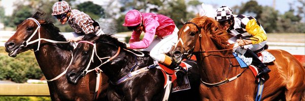 TheEquineCoder Profile Banner