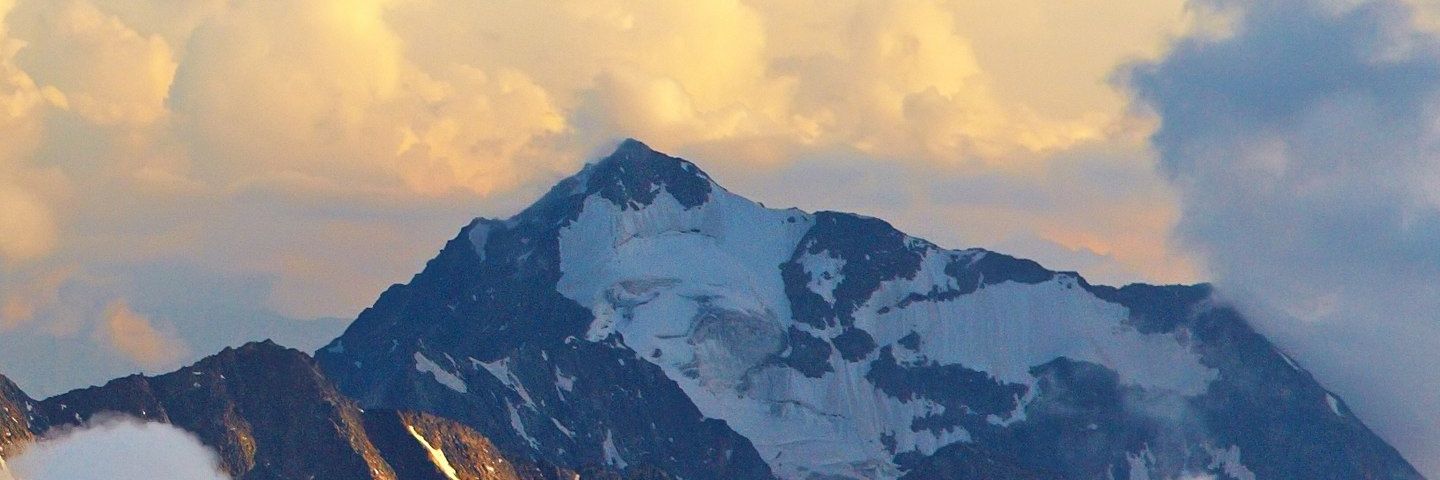 referencelady's profile banner image