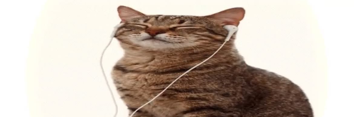 Baldselena's profile banner image