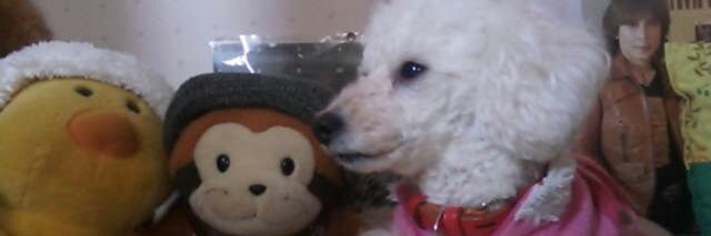238_y2's profile banner image