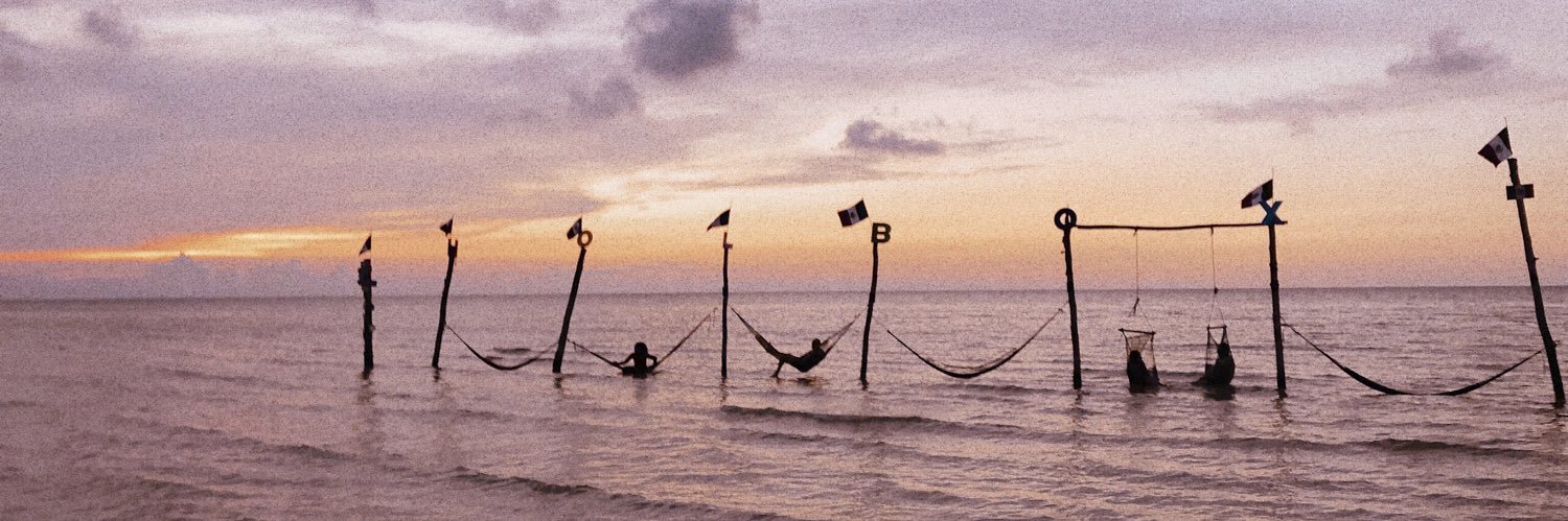 sofiahanhausen's profile banner image