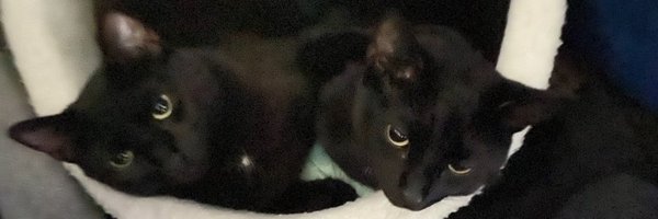 HHN79 Profile Banner