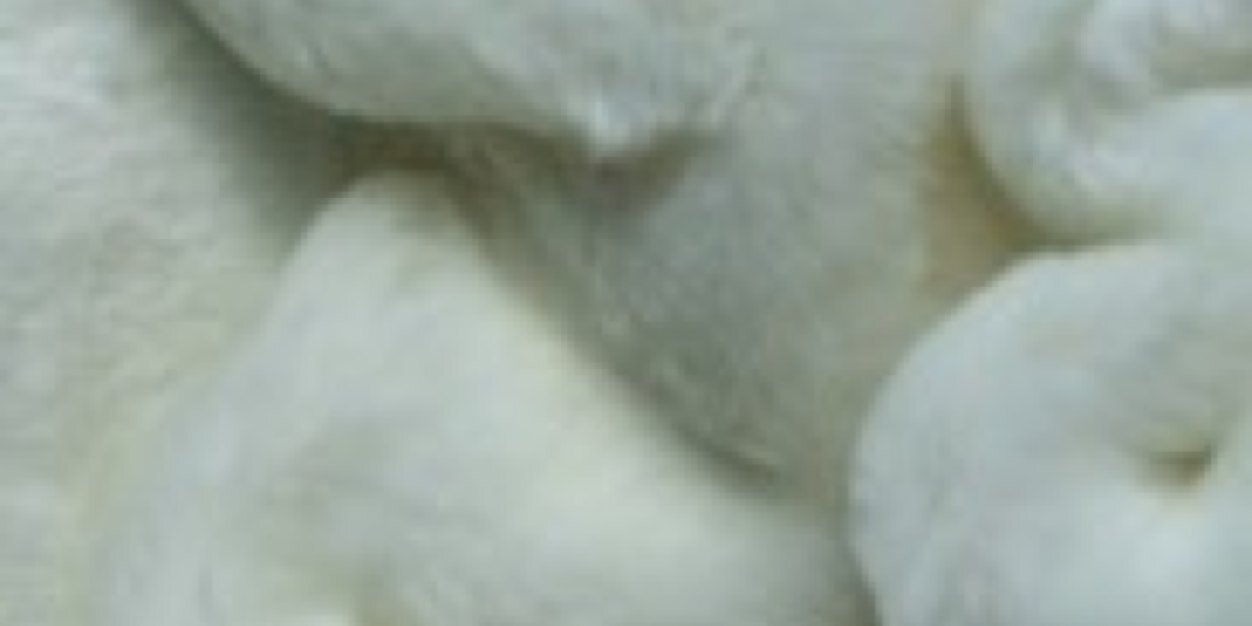 bobbidahl's profile banner image
