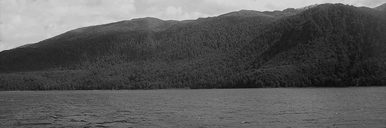 cuchitavega's profile banner image