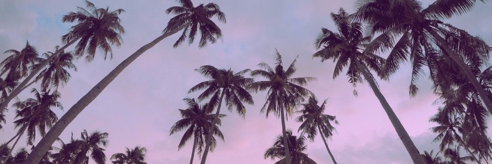tersgaray's profile banner image