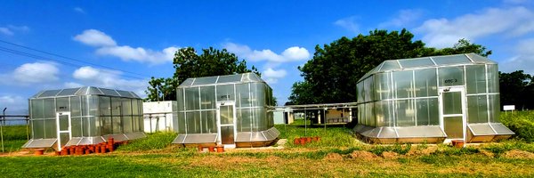 alamuru_krishna Profile Banner