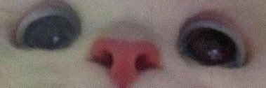 JesusM👀💕 banner