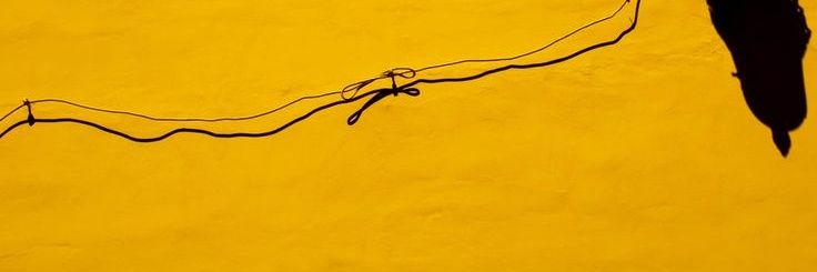 rinsoooj's profile banner image