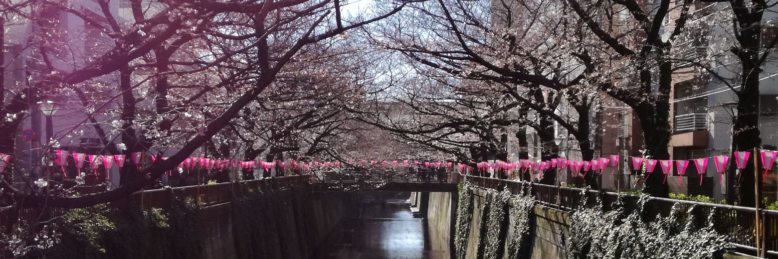 ryoosuke_t's profile banner image