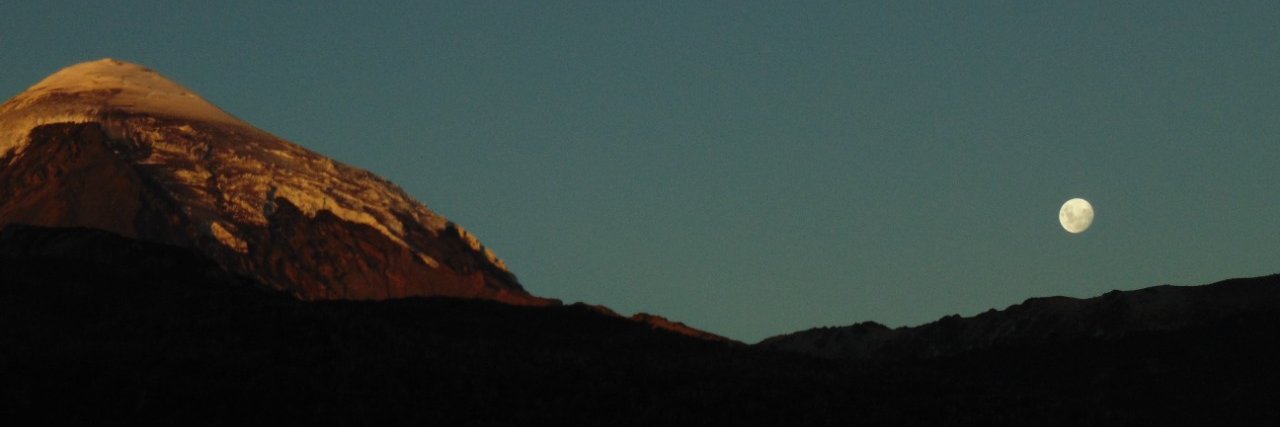 LaMalentaa's profile banner image