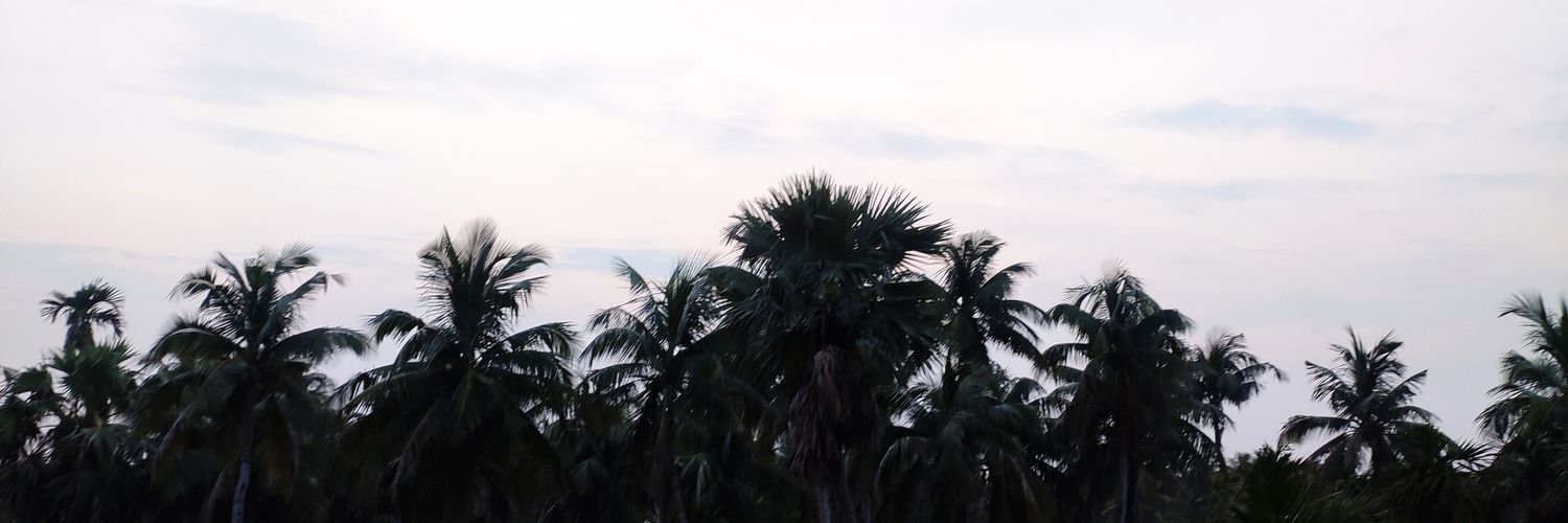 TiyaAdak's profile banner image
