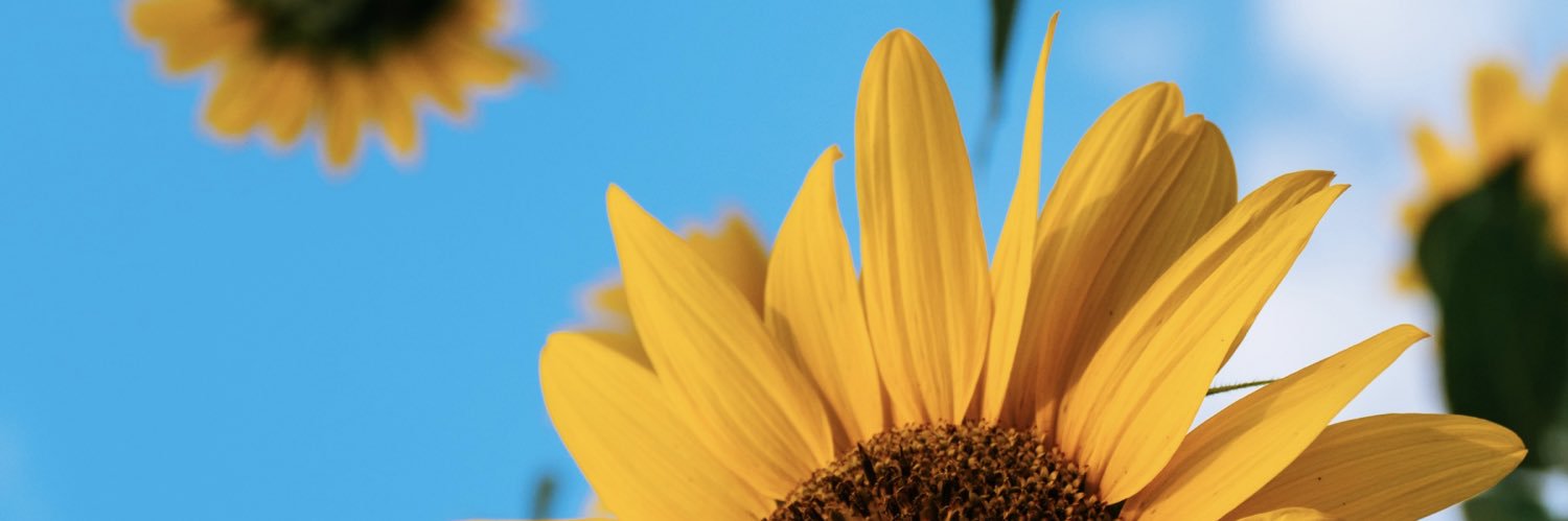 4649Ji's profile banner image