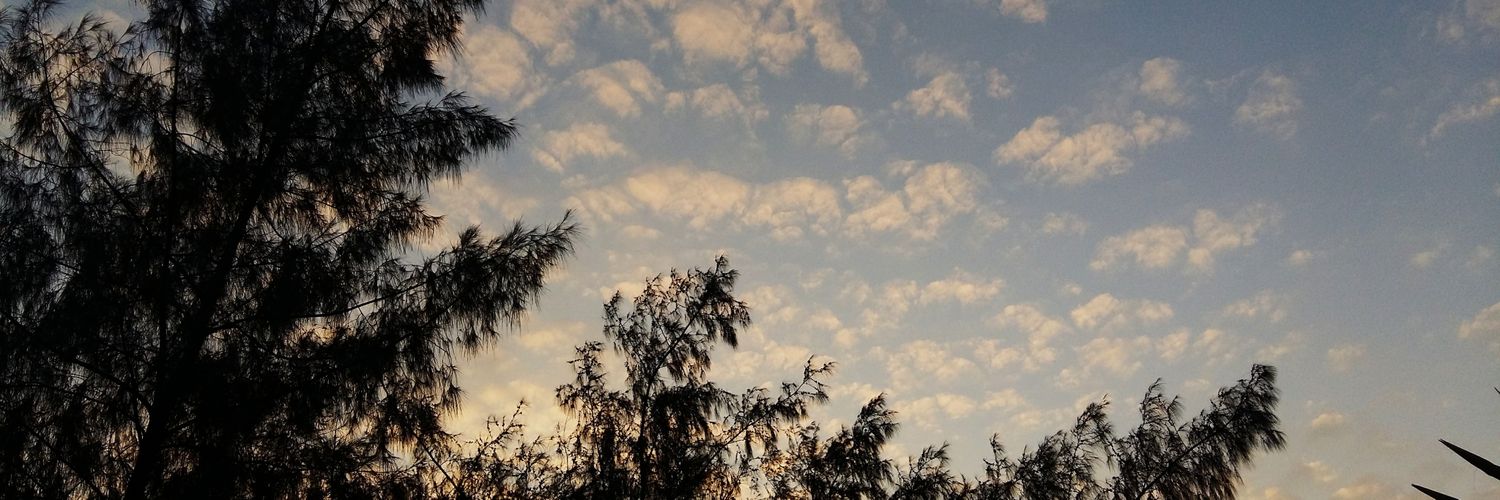 Skyp000's profile banner image