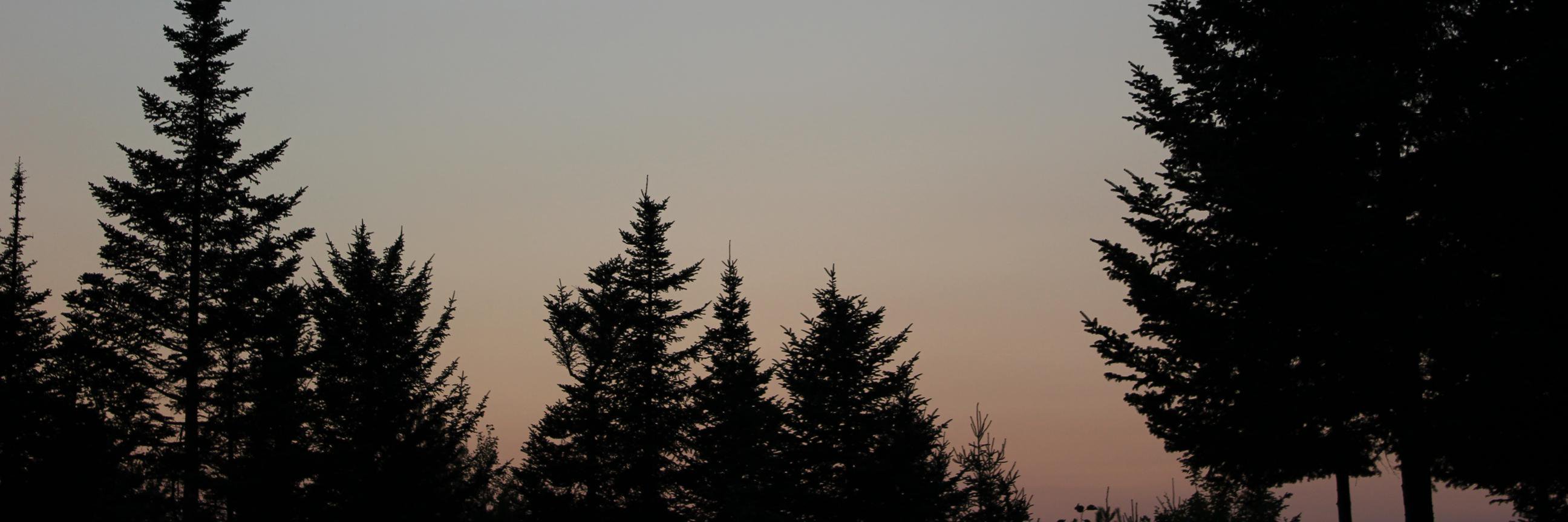 erinclowder's profile banner image
