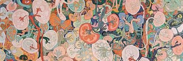 jt_nephrology Profile Banner