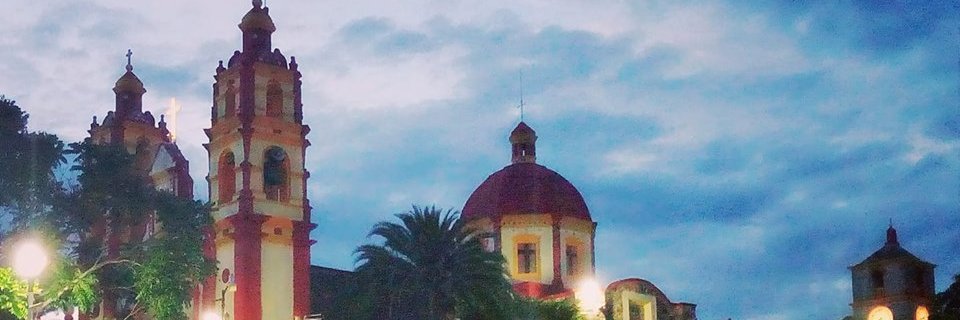poly_ss's profile banner image