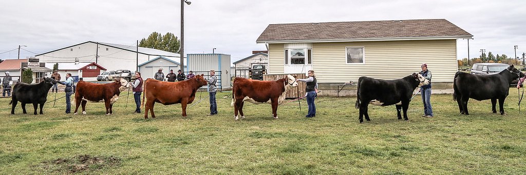 Swift Current Ag&Ex banner