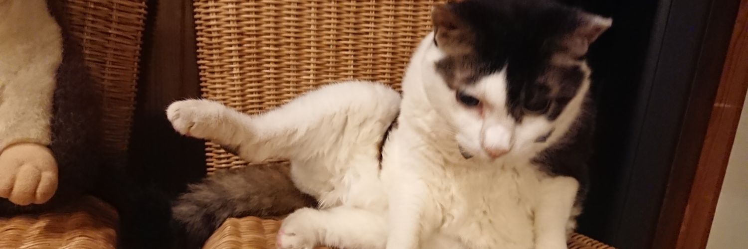 ワハすば🍆 banner