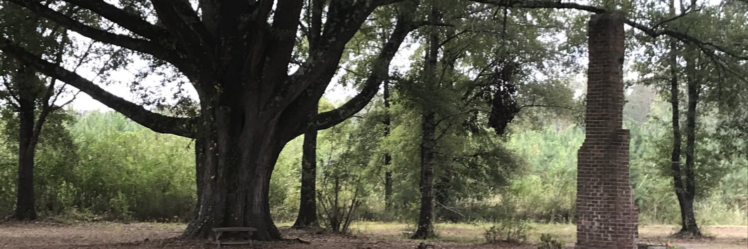 LHCBMatt's profile banner image