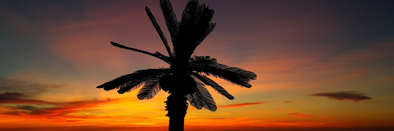 MrDuckz2's profile banner image