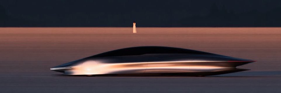 SalamanderCap's profile banner image