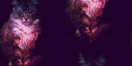 _Alifaaa's profile banner image
