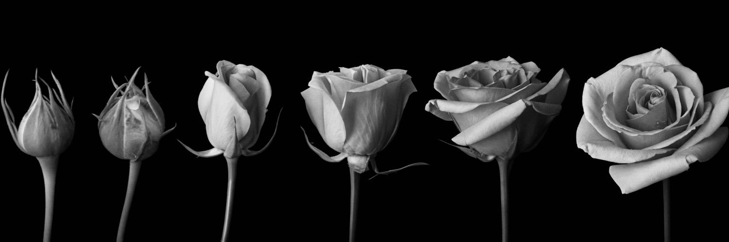 ❀, banner