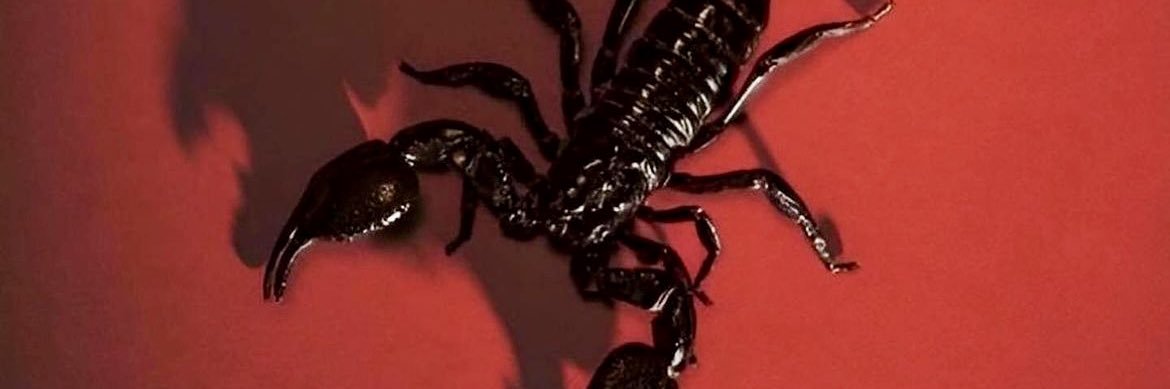 ScorpionBator 🦂 ✊🏾 banner