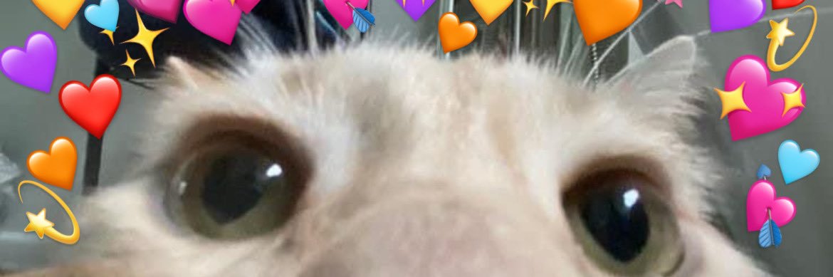 טל שם לא banner