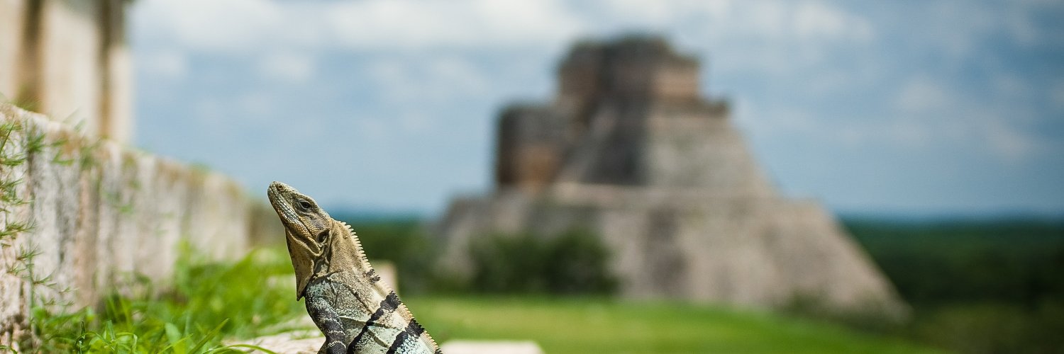 Carl G (aka Kristopher)🚢 banner