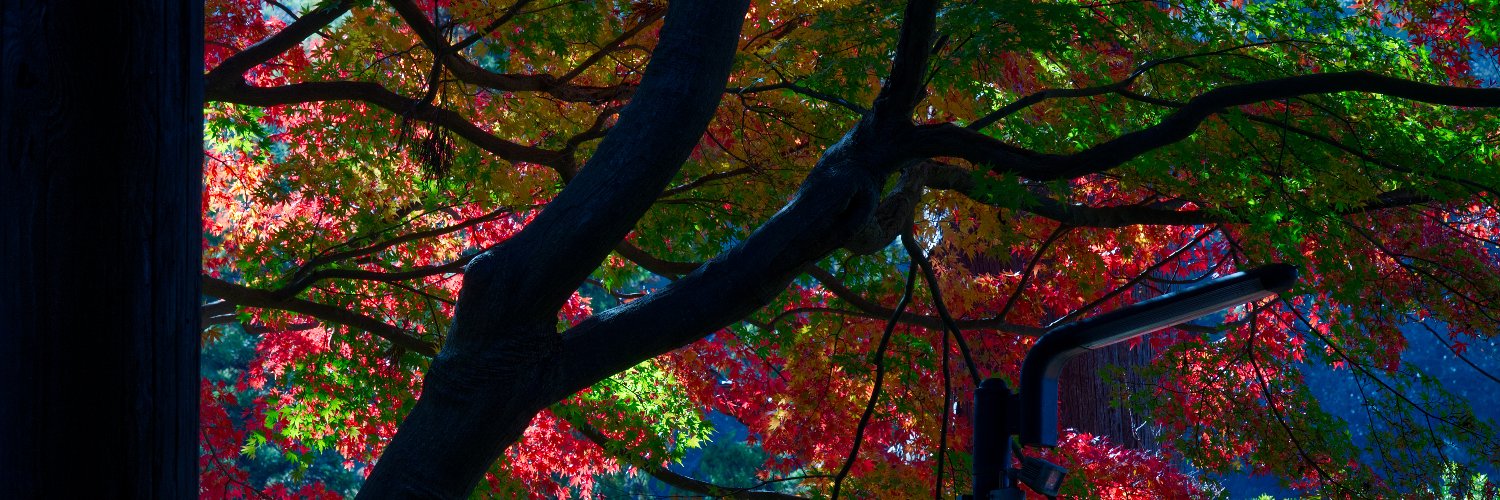 kuronnkuronn's profile banner image