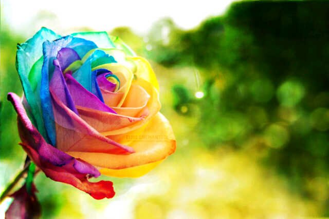 2_cuan's profile banner image