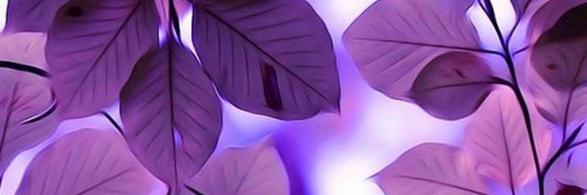 Serg46467726's profile banner image