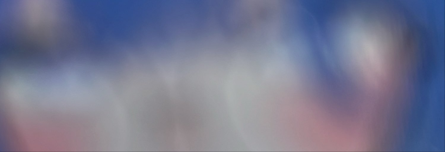 SillyVrchat's profile banner image