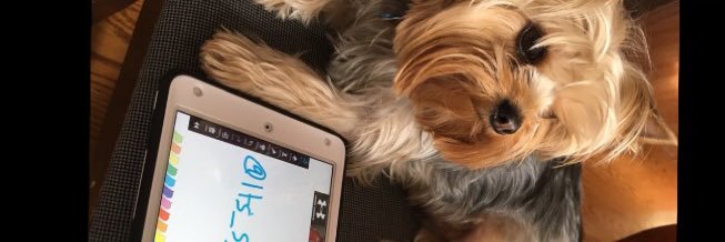 Its_Sandra_M8's profile banner image