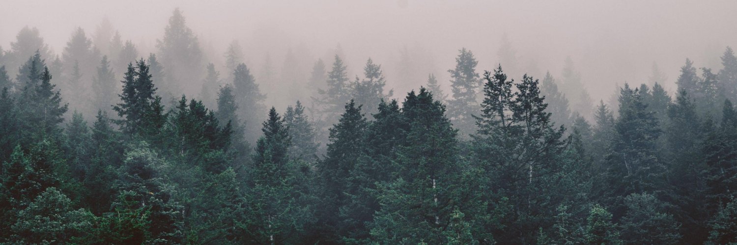 Mynx ♡ banner