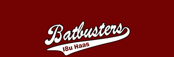BatbustersHaas Profile Banner