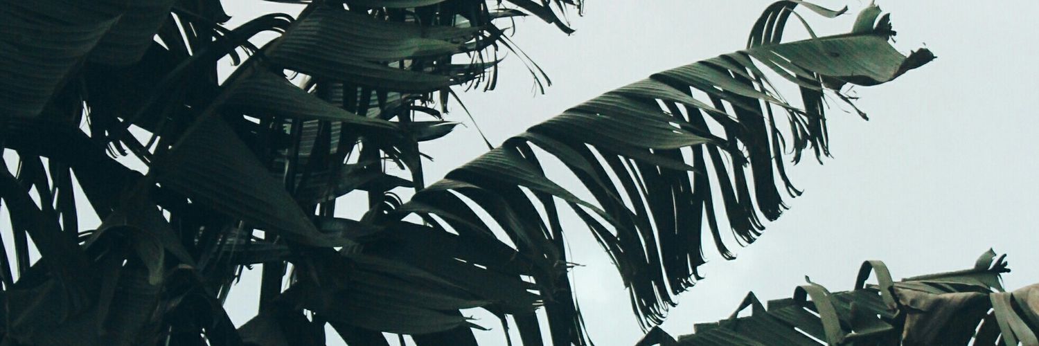guthua_ugo's profile banner image
