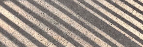 bansikagoat's profile banner image