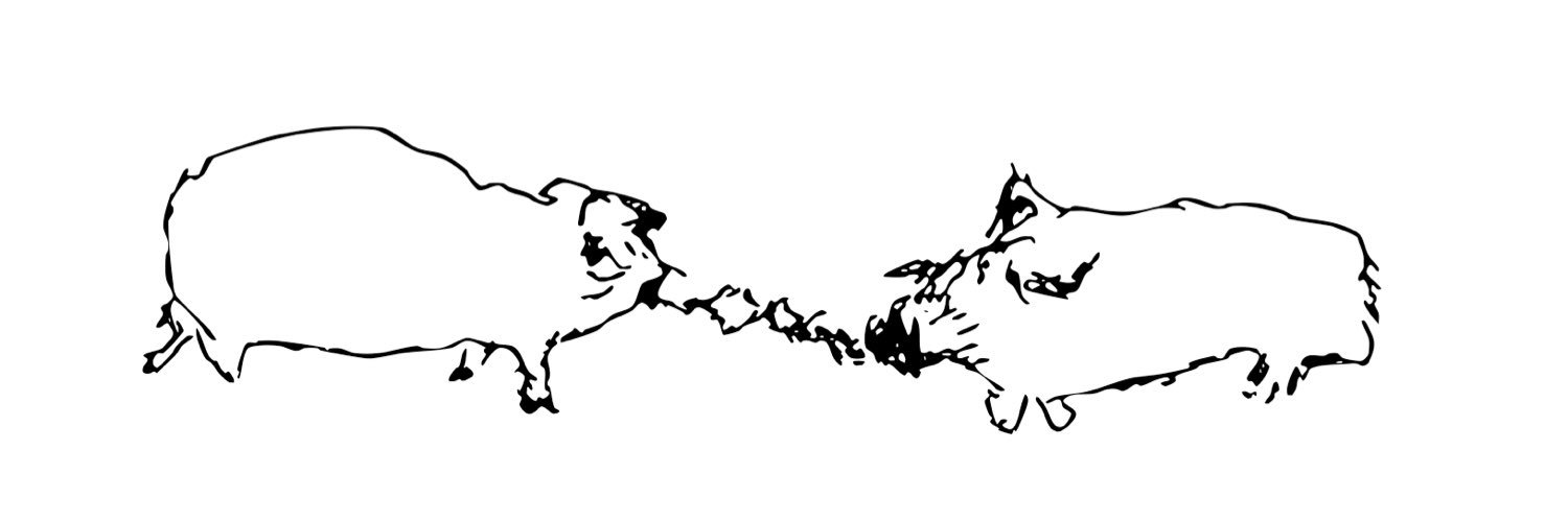 muldra's profile banner image