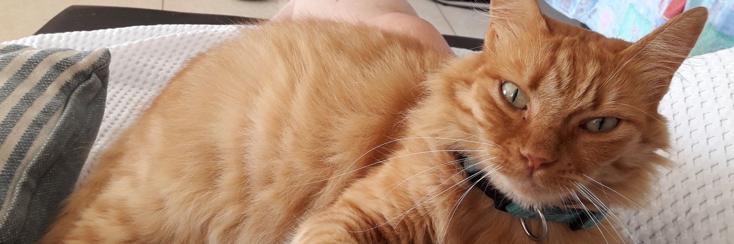 NoTimeToWaste💕 banner